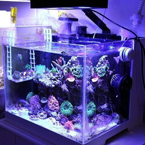 最大30 Off Ledアクアリウムライト アクアリウムledライト サンゴ礁 魚飼育ナノ水槽用のタッチコントロール付き30w海水照明および3w Cree ストアレイニーブルー 通販 Yahoo ショッピング 流行に Karmagazine Net