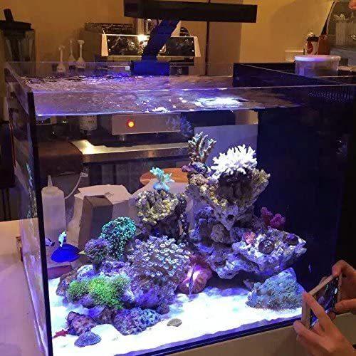 最大30 Off Ledアクアリウムライト アクアリウムledライト サンゴ礁 魚飼育ナノ水槽用のタッチコントロール付き30w海水照明および3w Cree ストアレイニーブルー 通販 Yahoo ショッピング 流行に Karmagazine Net