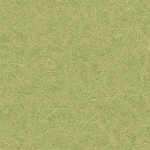 リリカラ 壁紙42ｍ 和 和紙調 グリーン グリーン ストアレイニーブルー Japan 和 Lw 2648 和紙