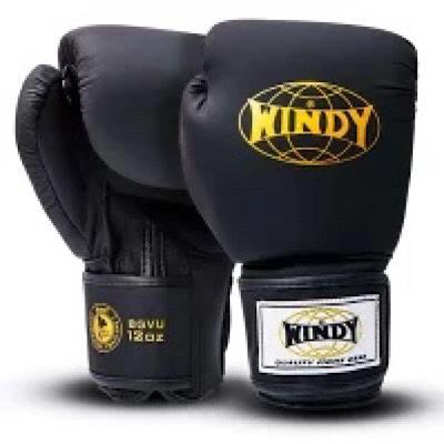 最安値 Windy グローブ 6oz 8oz 10oz 12oz 14oz 16oz ウィンディ