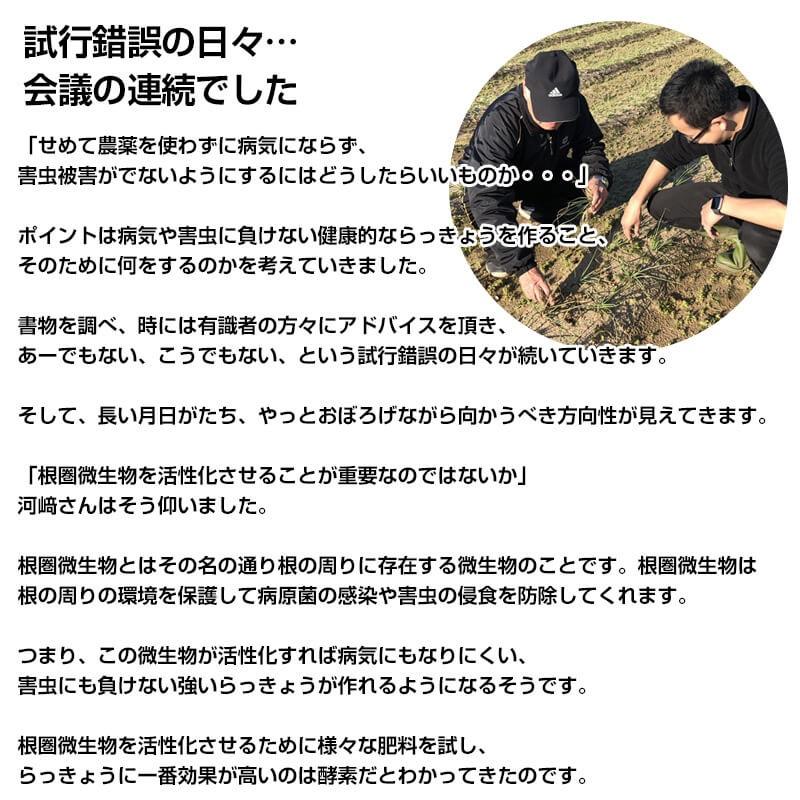 河崎さん家の生らっきょう 根付1kg 栽培期間中 農薬不使用 Tm らっきょう市場 通販 Yahoo ショッピング