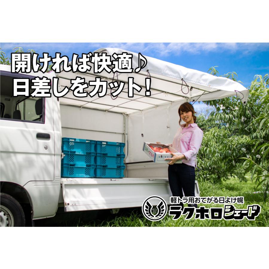 トラック 幌(ホロ)のみ   ※値段交渉あり トラック 幌(ホロ)のみ ※値段交渉あり