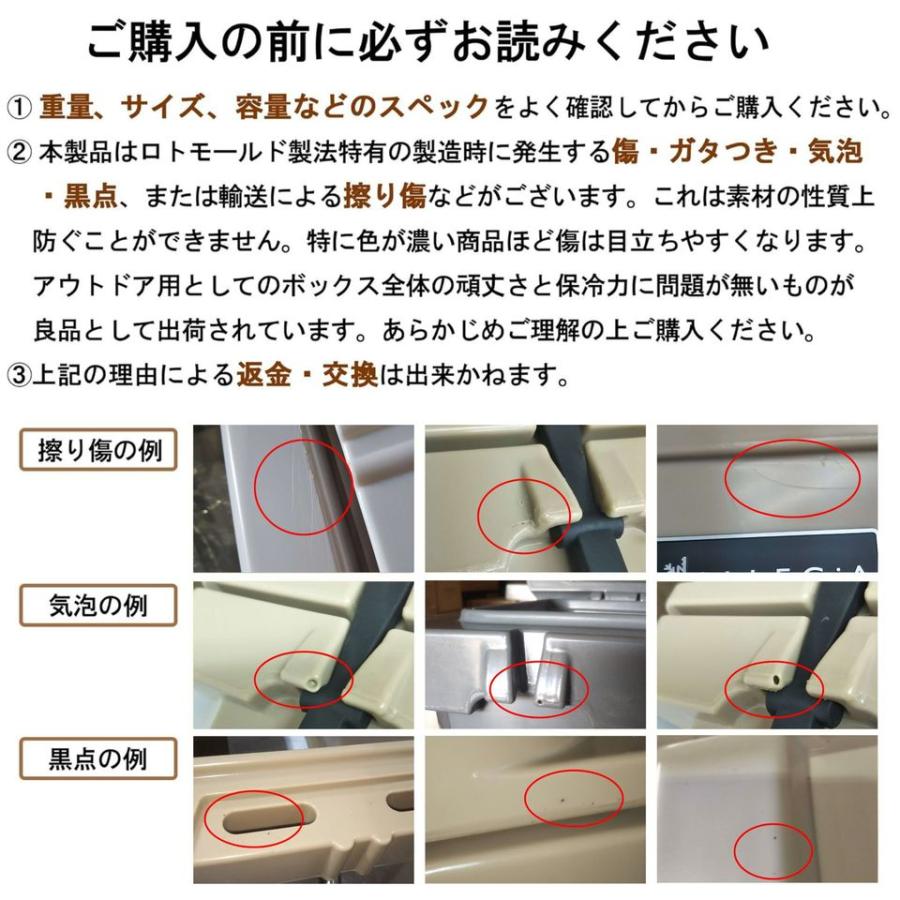 アレジア クーラーボックス 10L 小型 軽量 コンパクト ソロキャンプ