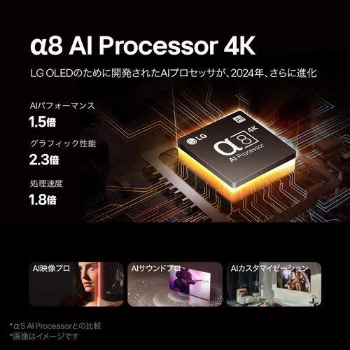 LGエレクトロニクス [新品]LG Electorinics Japan OLED48B4PJA 有機EL 