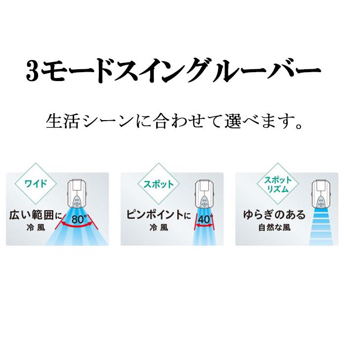 CORONA（コロナ） CDM-1026-AS 冷風機 どこでもクーラー 除湿能力1日