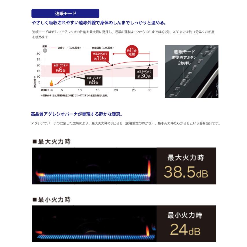 CORONA（コロナ） FF-AG6825H-TM 寒冷地用大型ストーブ FF式輻射