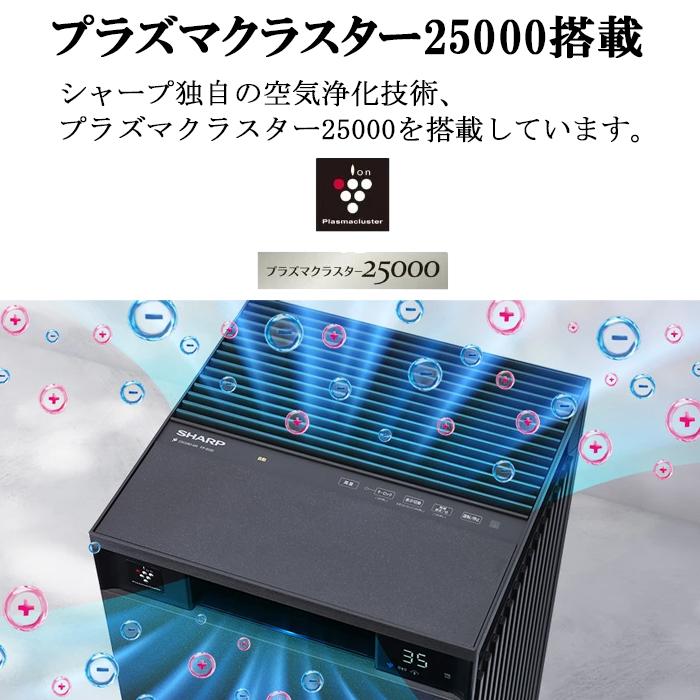 プラズマクラスター シャープ FP-T120-T プラズマクラスター25000 空気