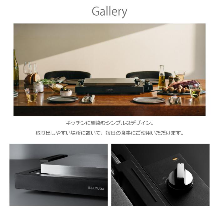 BALMUDA（バルミューダ） K10A-BK ザ プレート プロ ステンレス ホット