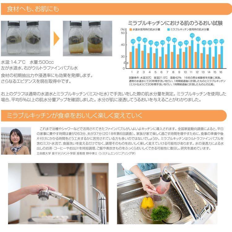 国内正規品 サイエンス ウルトラファインバブル生成キッチン水栓