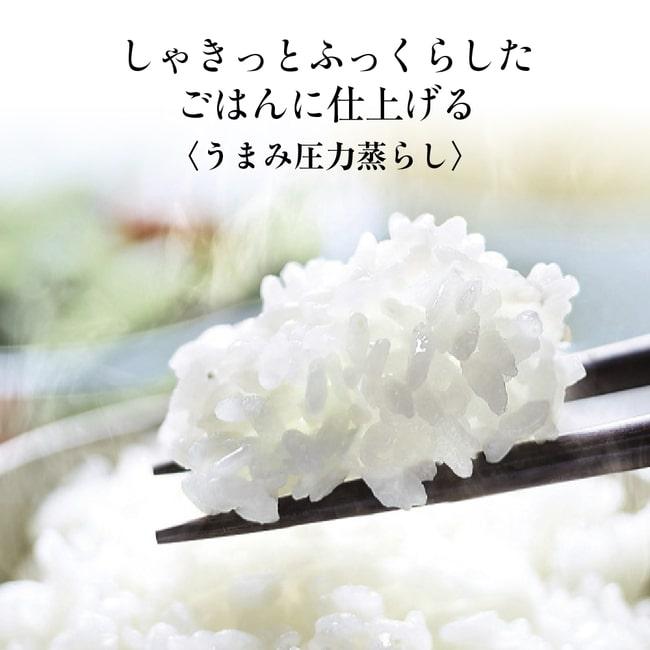 極め炊き 象印 NP-ZX10-BA 圧力IH炊飯ジャー 5.5合炊 ブラック 炊飯器