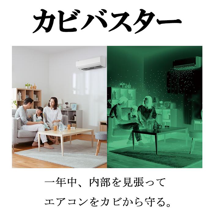 白くまくん 日立 RAS-MJ22R-W ルームエアコン MJシリーズ 6畳用 100V