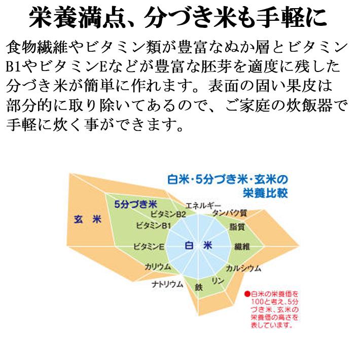 エムケー精工 SM-500W 家庭用精米機「新鮮風味づき」5合タイプ (代引不可)｜rakudenmart｜07