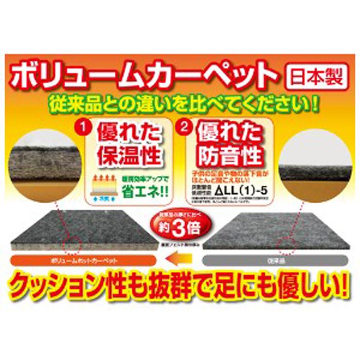 TEKNOS（テクノス） TWB-2500J 防音厚手ホットカーペット 2畳用本体