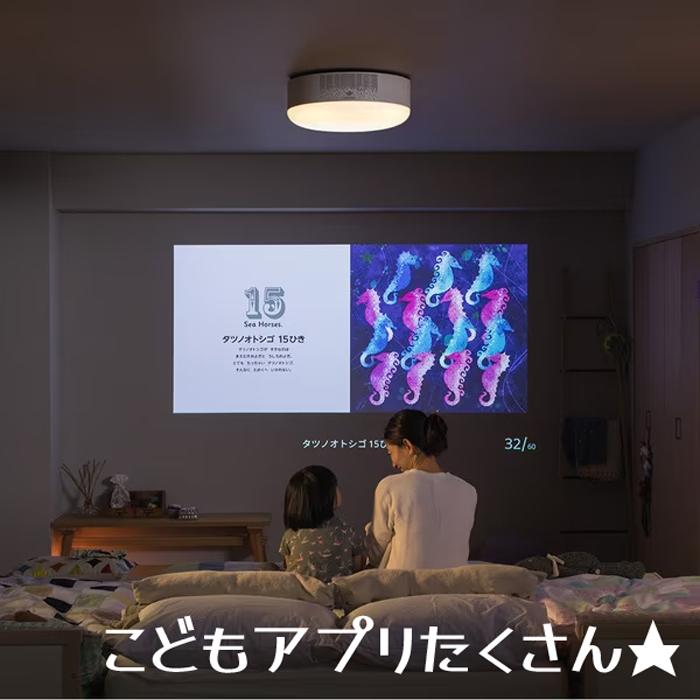 Aladdin X（アラジン エックス） Aladdin X2Plus シーリング