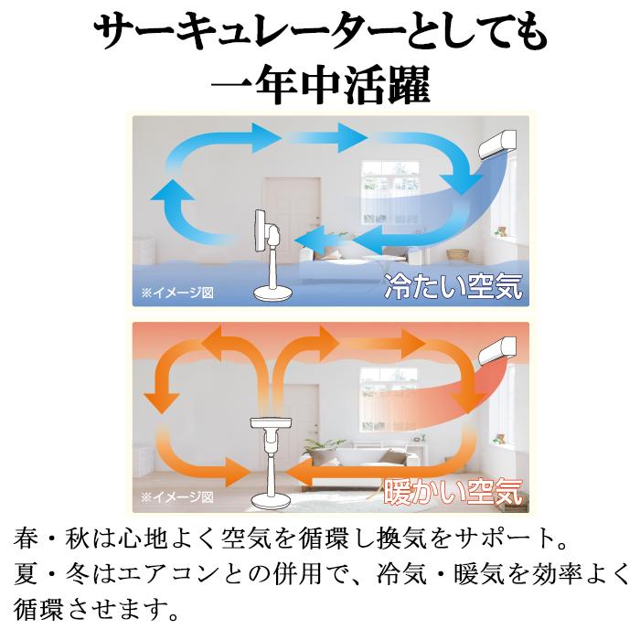 ゼンケン (ポイント10倍)ゼンケン ZEF-DC2 ZENKEN DC FAN 2 扇風機 3D