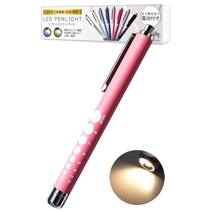 すにすて　ペンライト　2本 ペンライト 医療用 看護師 ソフトLED 光源(白色,電球色) ノック式 電池