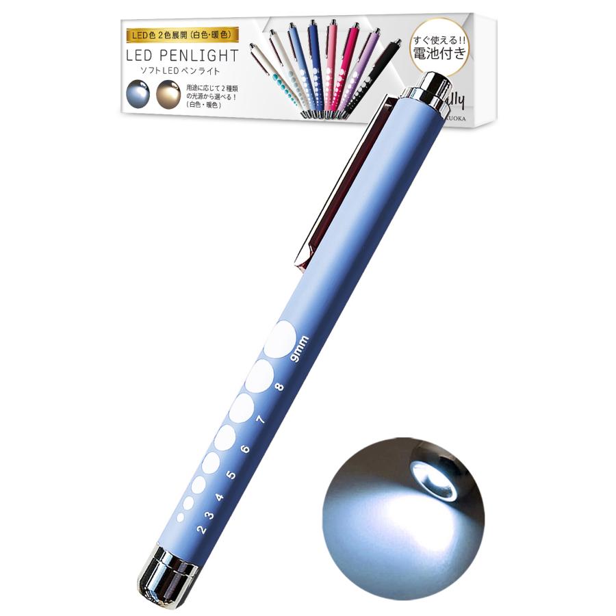 すにすて　ペンライト　2本 ペンライト 医療用 看護師 ソフトLED 光源(白色,電球色) ノック式 電池