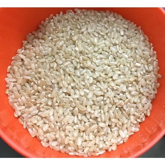 農薬不使用 有機肥料栽培 自然農法 兵庫県産 ヒノヒカリ 玄米 10kg