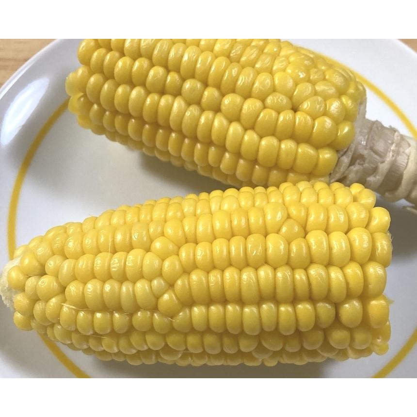 自然栽培とうもろこし（農薬・肥料不使用/山梨産） 3本（冷蔵便発送