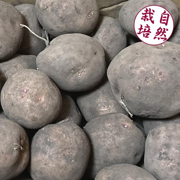 北海道産 自然栽培じゃがいも（さやあかね/折笠農場） 約2kg　無農薬 無肥料 ジャガイモ オーガニック | 