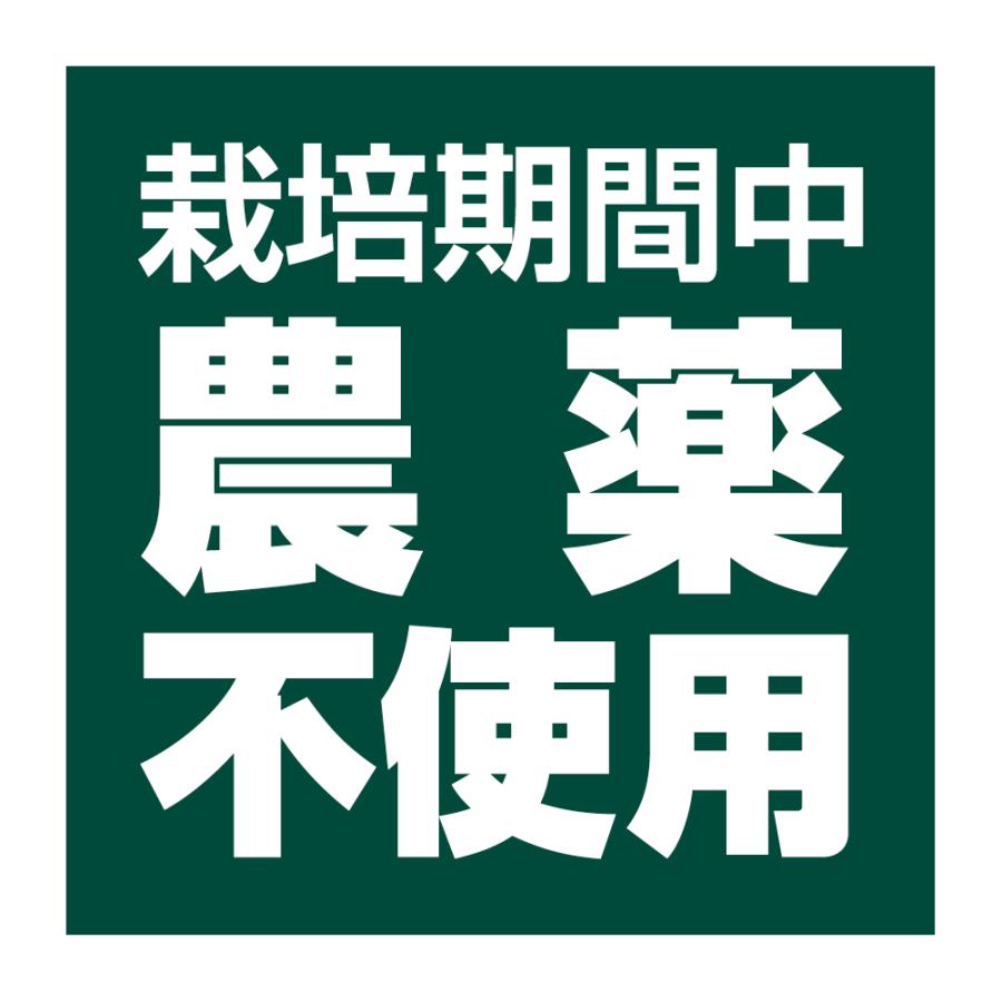 農薬不使用 シール 野菜 米 直売所用 500枚 25mm 正方形 上質紙 栽培