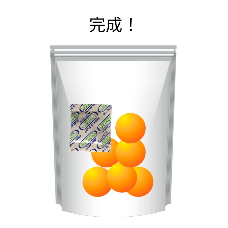 脱酸素剤 エージレス ZP-100 50個（10個×5袋）食品用 ペットフード お