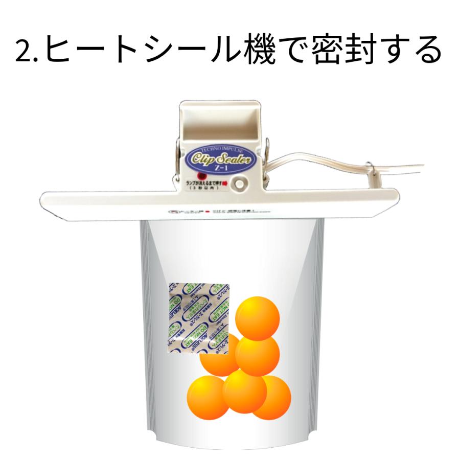 脱酸素剤 エージレス ZP-100 50個（10個×5袋）食品用 ペットフード お