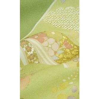 正絹 手描訪問着 熨斗取り御所解文 結婚式 卒業式 フォーマル 和装 着物の画像