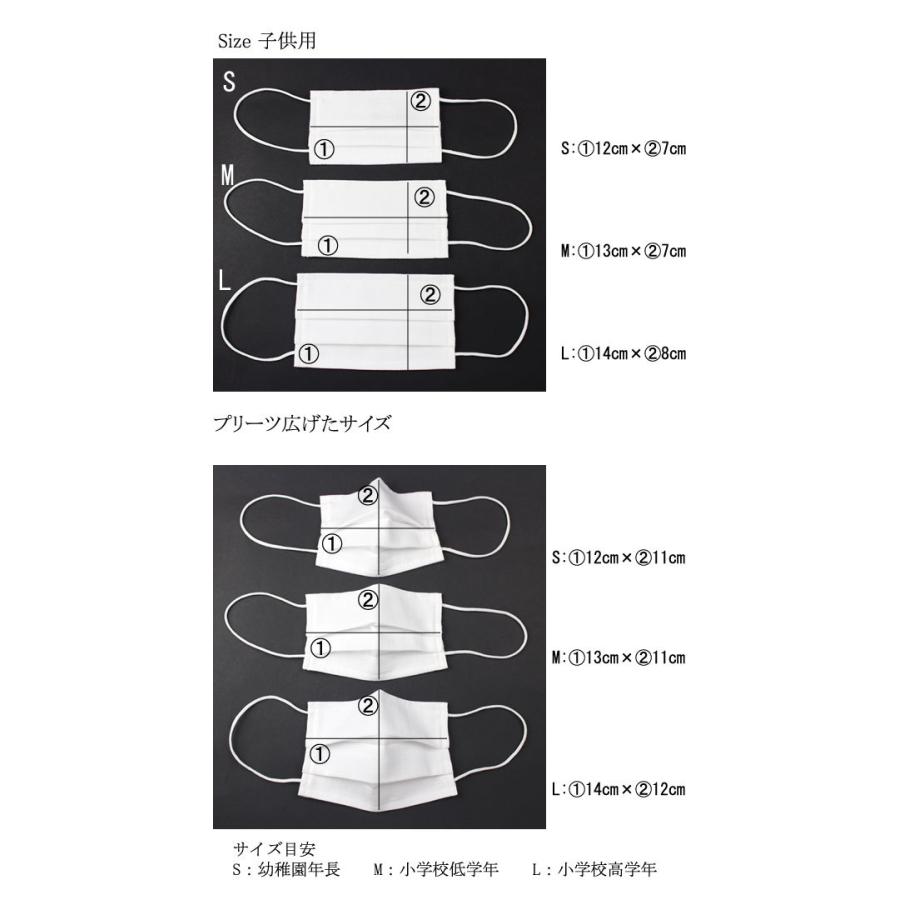 16点までメール便OK マスク 日本製 鬼滅の刃 富岡義勇 毘沙門亀甲