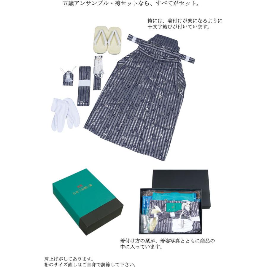 R・K 5歳 男児 アンサンブル・袴セット 鷹 青 対応身長110cm 七五三 3