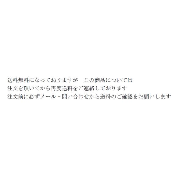 送料別途見積もり商品・フジマック・ガスフライヤー・FGF21NB75 送料別途見積もり商品・フジマック・ガスフライヤー・FGF21NB75