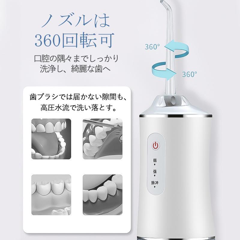 口腔洗浄器 ジェットウォッシャー 口腔洗浄機 歯垢除去 替えノズル4本