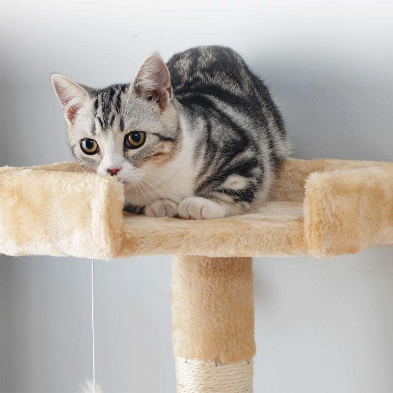 猫用品 全高155cm　キャットタワー　据え置き　ベージュ キャットタワー 据え置き 麻紐全高155cm【ベージュ】 : 楽工房 - 通販