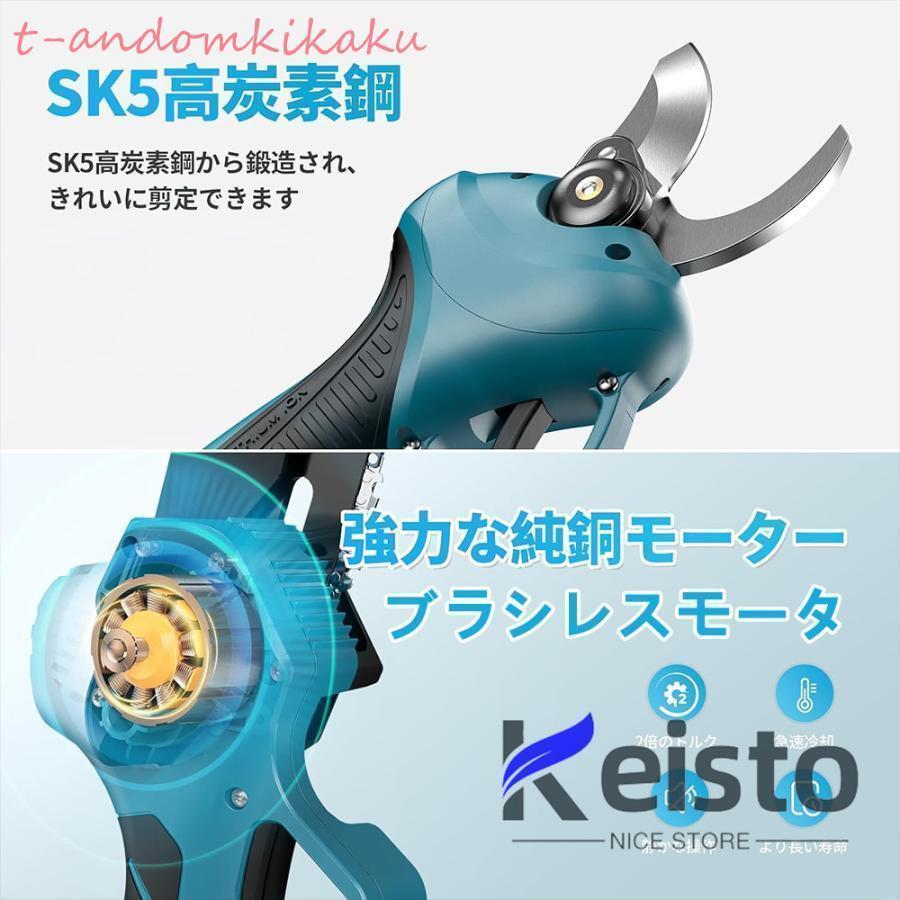 電動高枝切りバサミ 充電式（バッテリー対応）切断径30mm 伸縮ポール