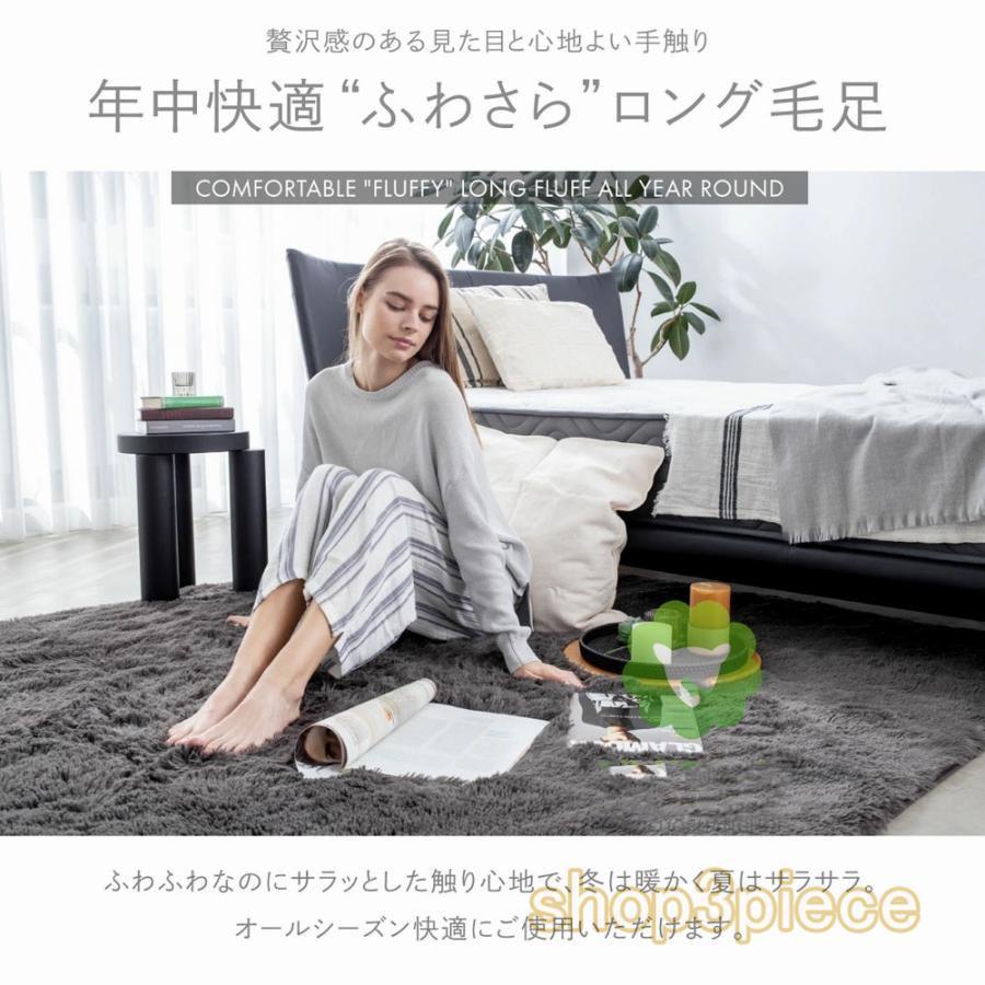 ラグ カーペット 洗える 2畳 3畳 ラグマット 絨毯 厚手 北欧風