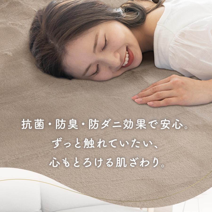 洗えるラグ 185×185 cm カーペット 2畳 制菌 消臭 防ダニ 12946_00.jpg
