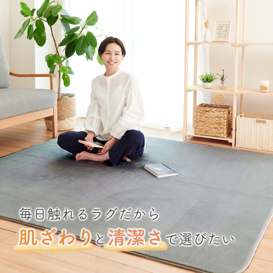 Sylphease ラグ 135×185cm 洗える 1.5畳 抗菌 防ダニ 滑り止め Sylphease ラグ 135×185cm 洗える 1.5畳 抗菌 防ダニ 滑り止め