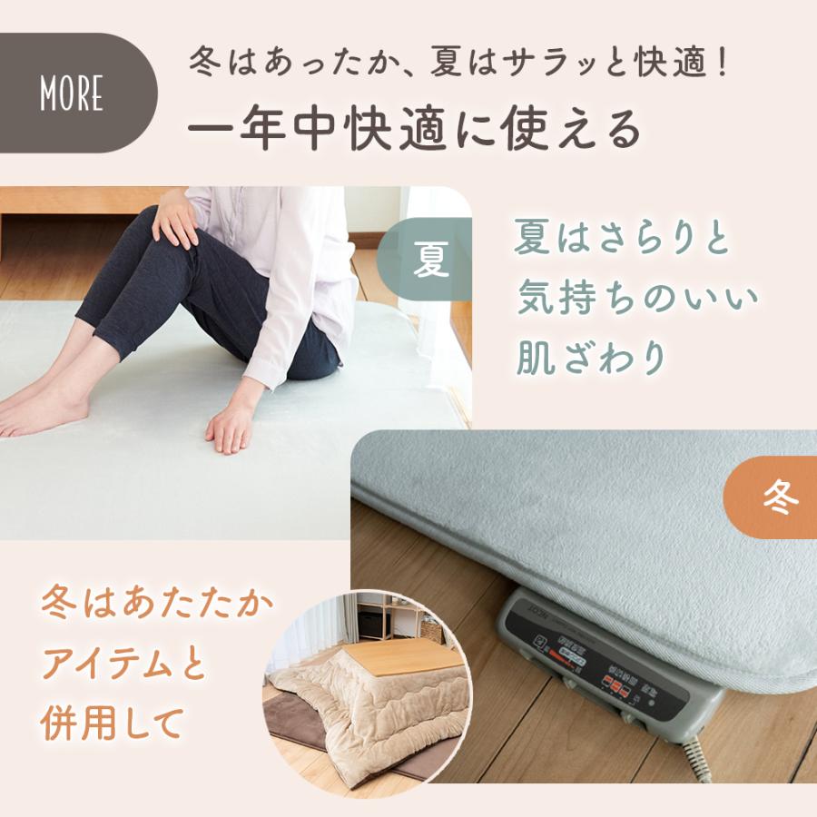 Sylphease（シルフィーズ） ラグ 200×250cm 洗える 3畳 抗菌 防ダニ