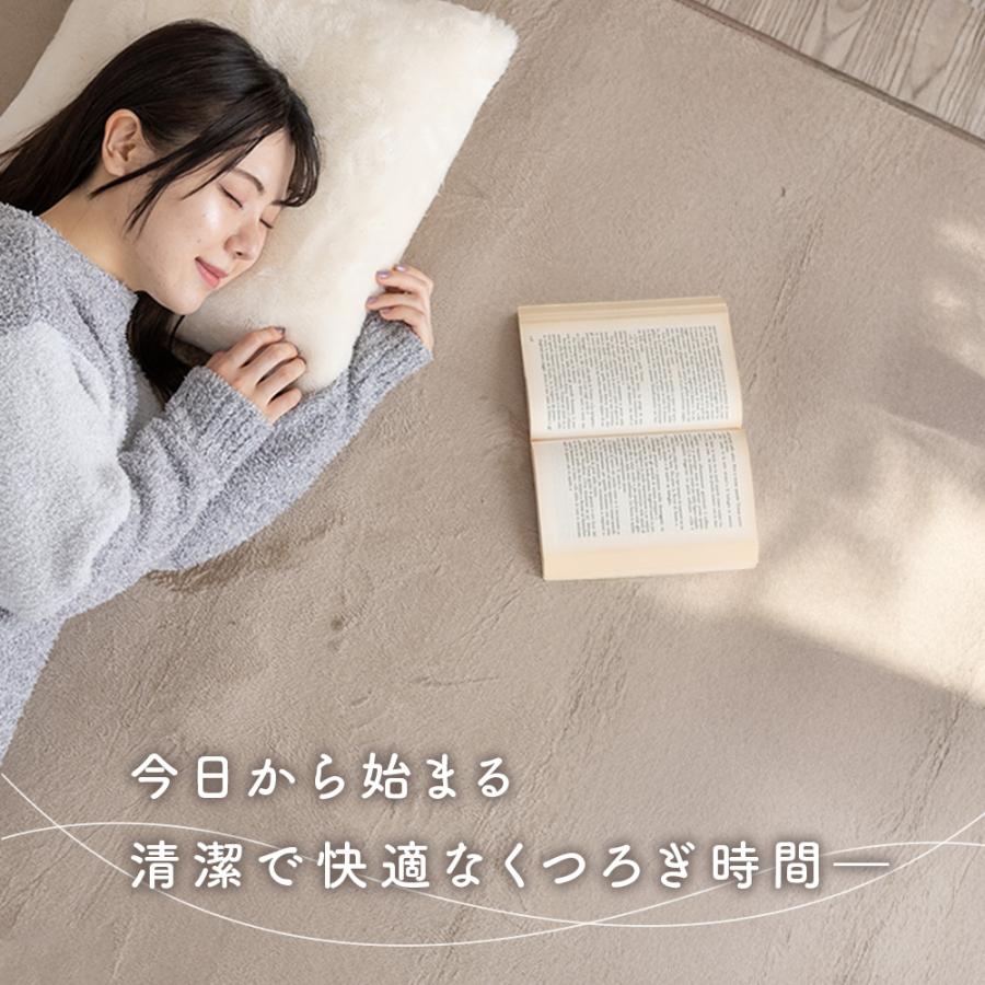 Sylphease（シルフィーズ） ラグ 200×250cm 洗える 3畳 抗菌 防ダニ