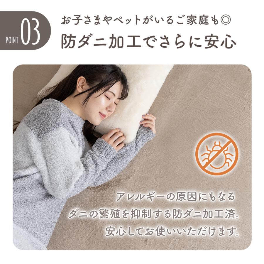 Sylphease（シルフィーズ） ラグ 200×250cm 洗える 3畳 抗菌 防ダニ