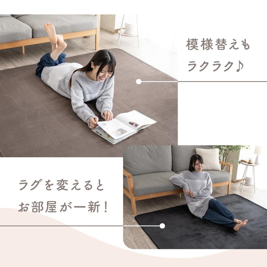 Sylphease（シルフィーズ） ラグ 200×300cm 洗える 4.5畳 抗菌 防ダニ