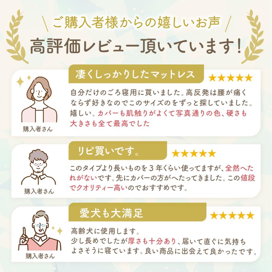 Sylphease（シルフィーズ） 長座布団 高反発 カバーセット 極厚 厚み