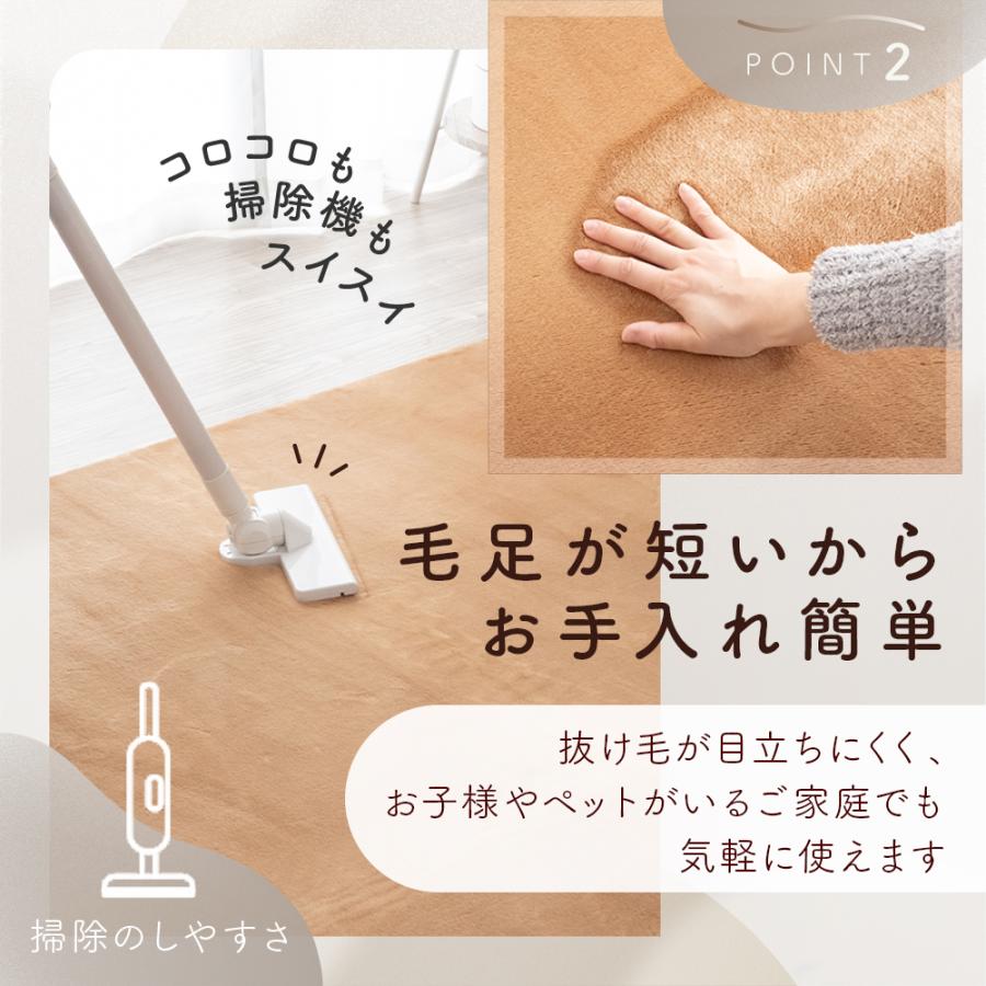 Sylphease（シルフィーズ） ラグ 2畳 ラグマット カーペット 洗える 冬