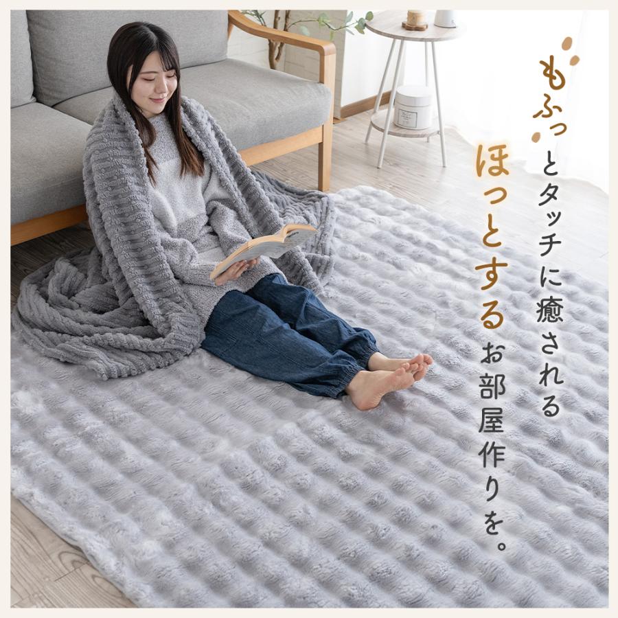 Sylphease（シルフィーズ） ラグ 洗える カーペット ラグマット 冬 冬