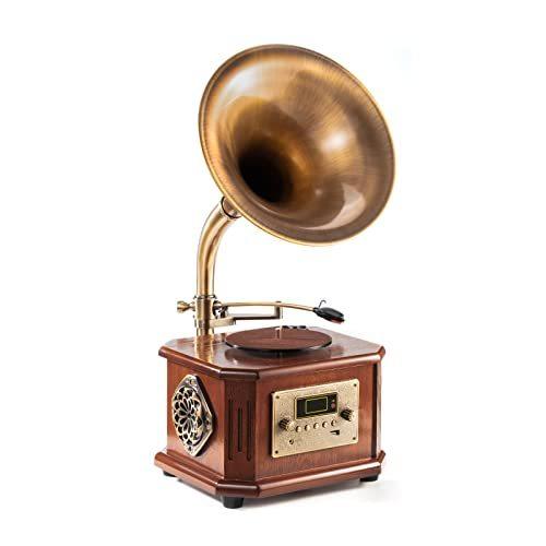 HOFEINZ 天然木材 蓄音機 純銅ホーン 工芸品 マルチレコードプレーヤー