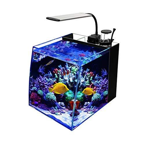 Gankpike アクアリウムセット 超クリアガラス水槽 海水魚水槽 容量 約28l 55 以上節約