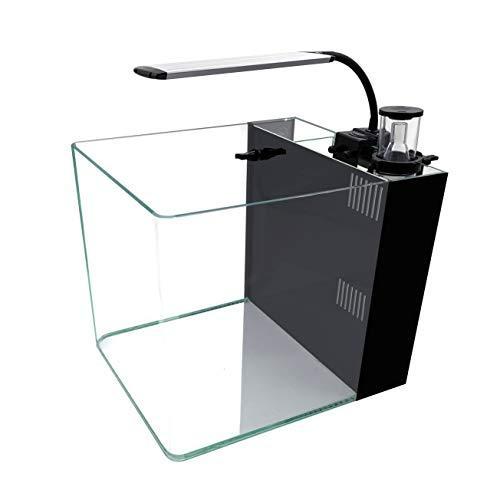 ⭐公式品⭐ GankPike アクアリウムセット 超クリアガラス水槽 海水魚水槽 (容量 約31L) 【H1896339068】(11071円)