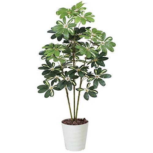 光触媒 人工観葉植物 光の楽園 カポック斑入り1.2m 371A150 サイズ