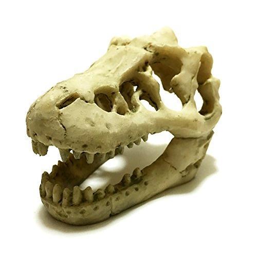 Tabiwo アクアリウム 恐竜 オーナメント 水槽 シェルター テラリウム 昆虫 爬虫類 ガラス 飼育 ケース 恐竜 A 10 Off