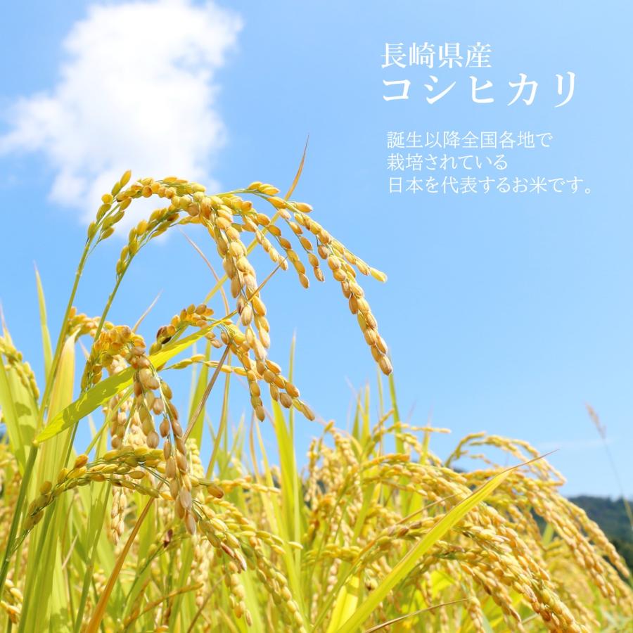 無洗米 長崎県産 コシヒカリ 5kg(2.5kg 2袋) 令和6年 送料 無洗米 長崎県産 コシヒカリ 5kg(2.5kg 2袋) 令和6年 送料